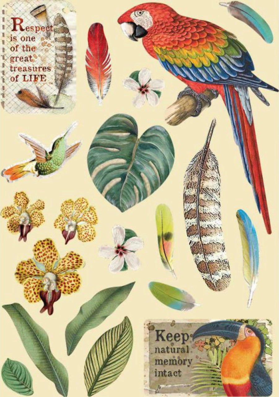 Stamperia Formas de madera de colores A5 - Amazonia Parrot 